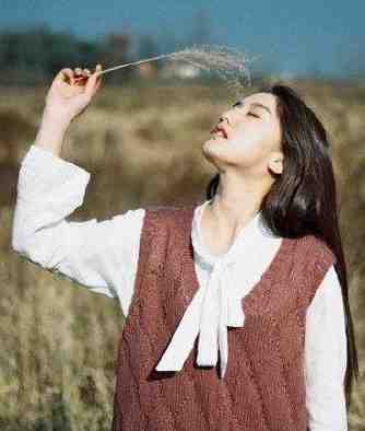 女总裁的王牌高手