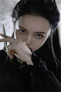 将门美妾