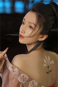 公主的随身侍卫