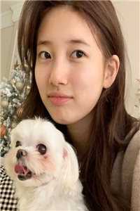 替嫁婚宠：顾少妻花样多