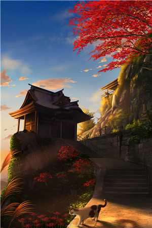 进监狱后，未婚夫杀疯了