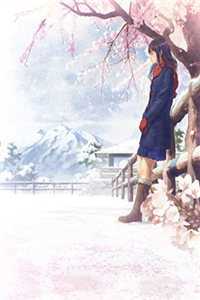 夫人隐瞒怀孕潇洒离婚，总裁满世界找