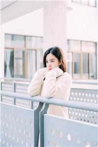 几百块的律师费，你玩什么命啊！