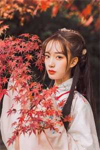 冰河末世：九重星门小世界