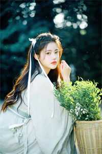 斩灵少女：我契约的全是上古神兵