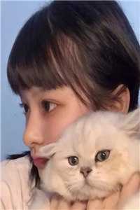 盼寡