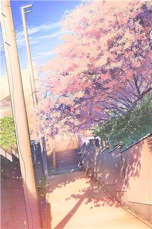 伪装甜蜜