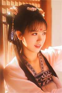 帝少追妻记