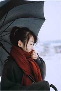 宠妾灭妻，我改嫁病弱王爷谋权篡位
